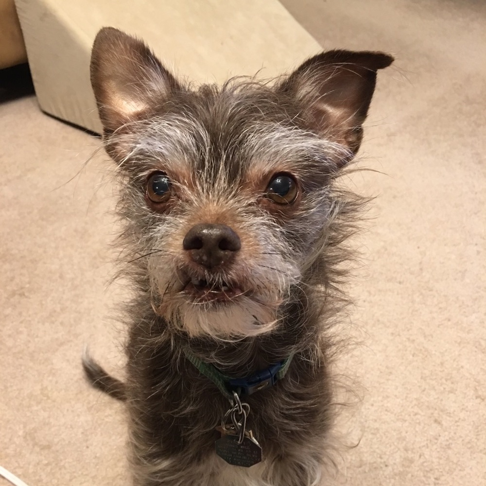 Meet your Posher, Karla